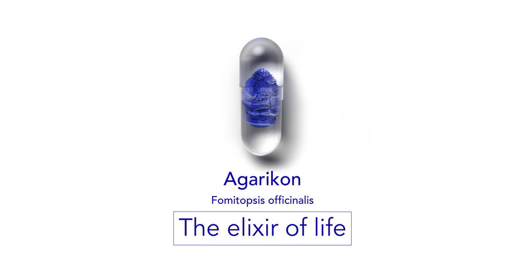 Agarikon: "the elixir of life"